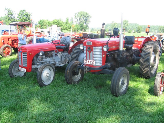 Fotogalerij Reinaardhoeve/Oldtimer tractoren/Oldtimer tractoren 009